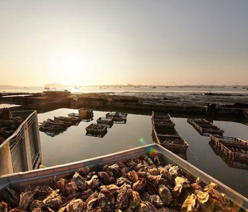 Ker Goh Velin Villa Saint-Gildas-de-Rhuys Ngoại thất bức ảnh